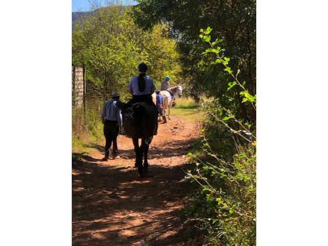 Commercial Property for Sale in Scheerpoort A H North West